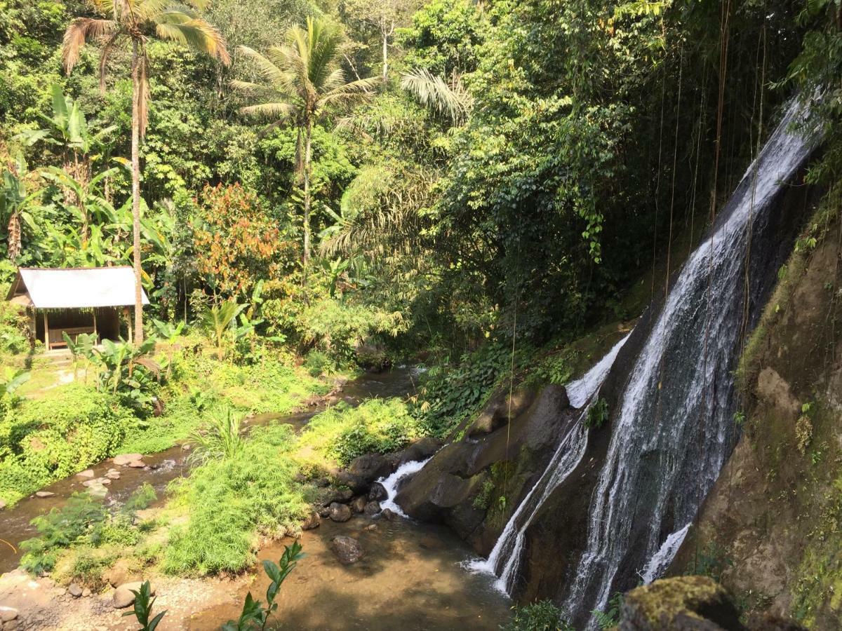 Pondok Plantation Luxury Mountain Escape Bedugul Bedugul  Luaran gambar