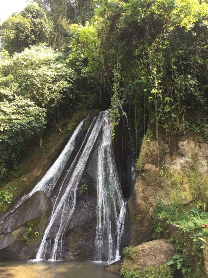 Pondok Plantation Luxury Mountain Escape Bedugul Bedugul  Luaran gambar